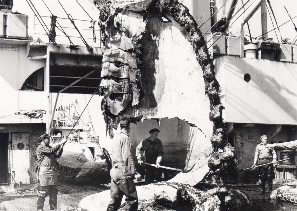 Hvalkokeriet KOSMOS 3