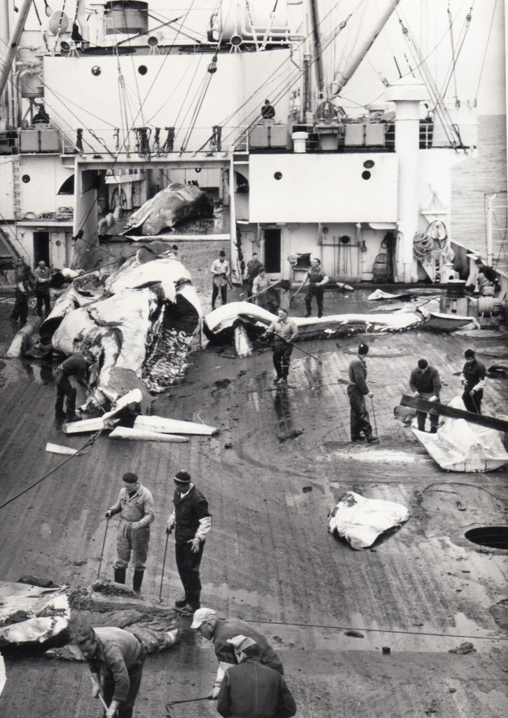 Hvalkokeriet THORSHØVDI.