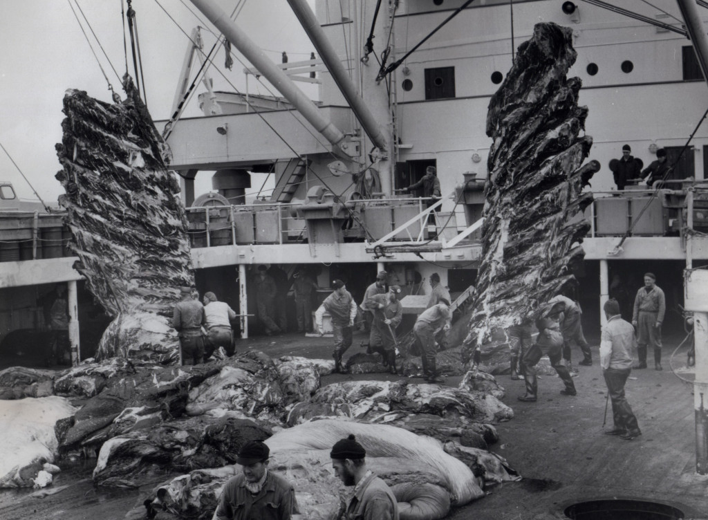 Hvalkokeriet THORSHØVDI