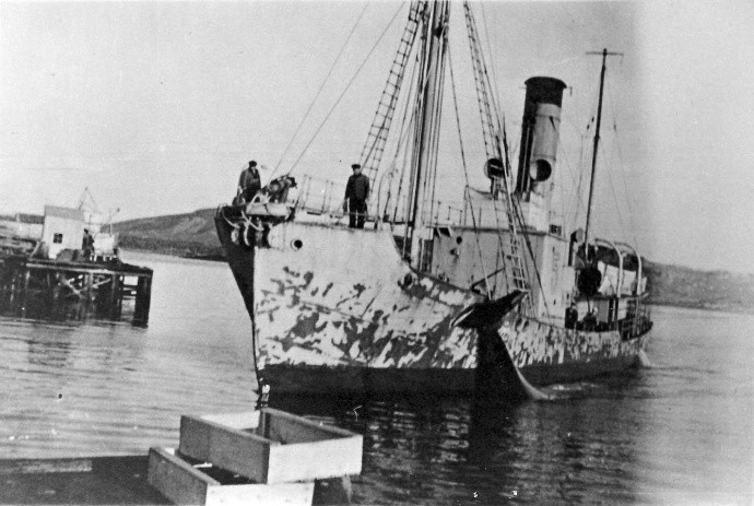 Hvalbåt på vei inn med hval til Hestnes Hvalstasjon