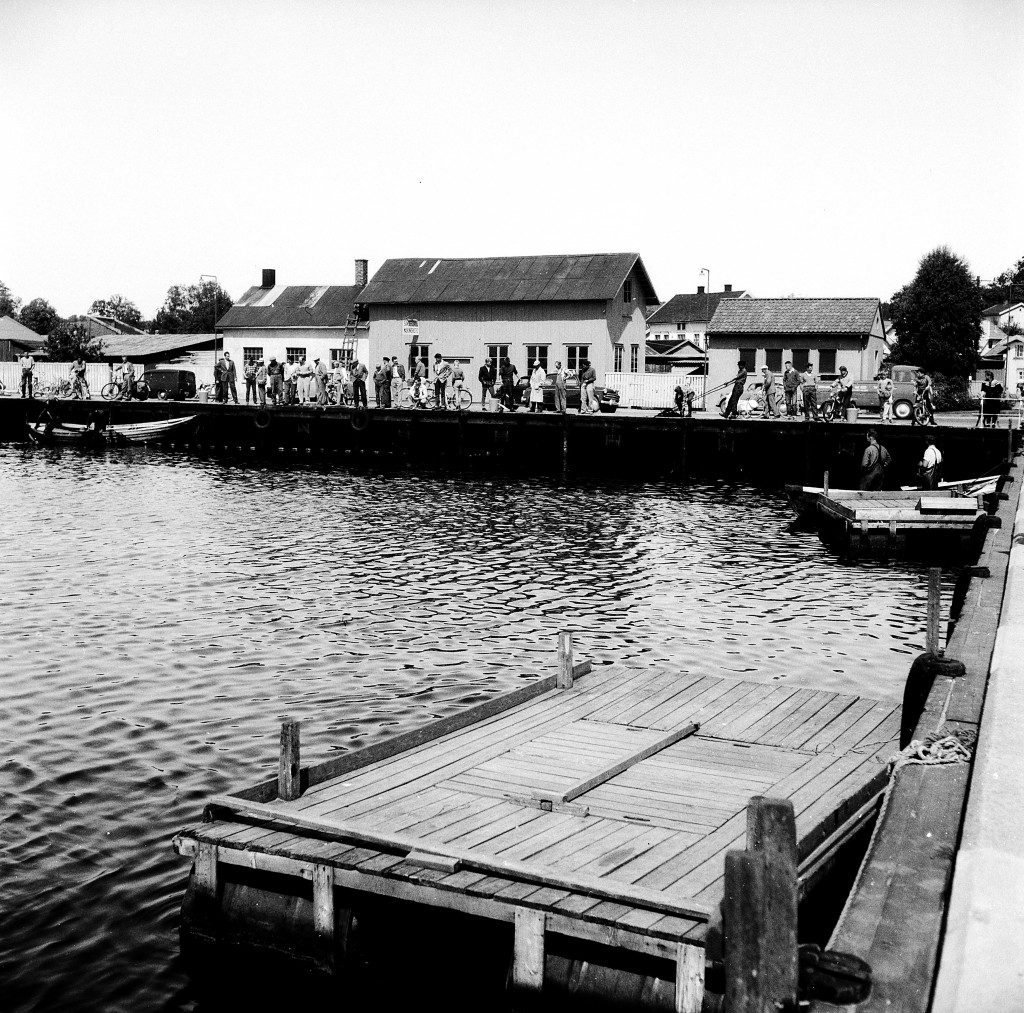 Brislingfiske Indre havn 16. mai 1959