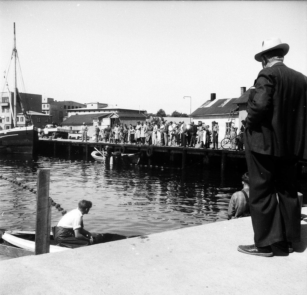 Brislingfiske Indre havn 16. mai 1959