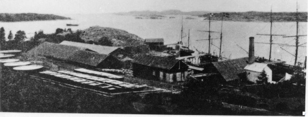 Gonvigens Trankogeri