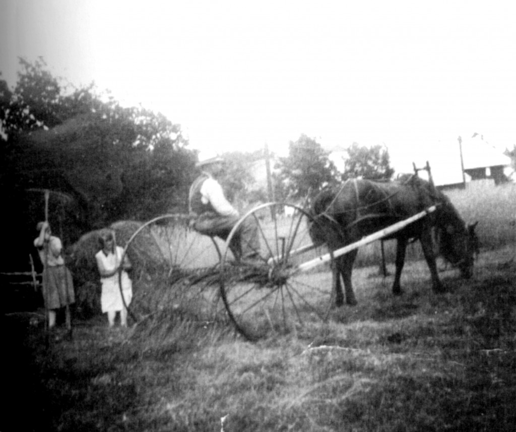 Østre Buer / Nalum / Vesterøyveien 257