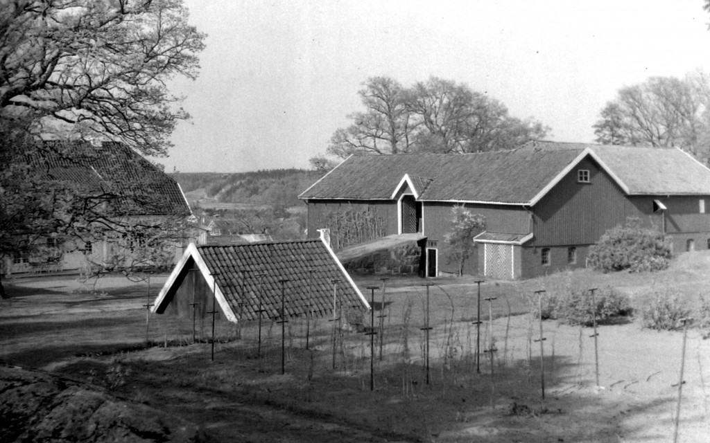 Tunet på Gokstad Øvre