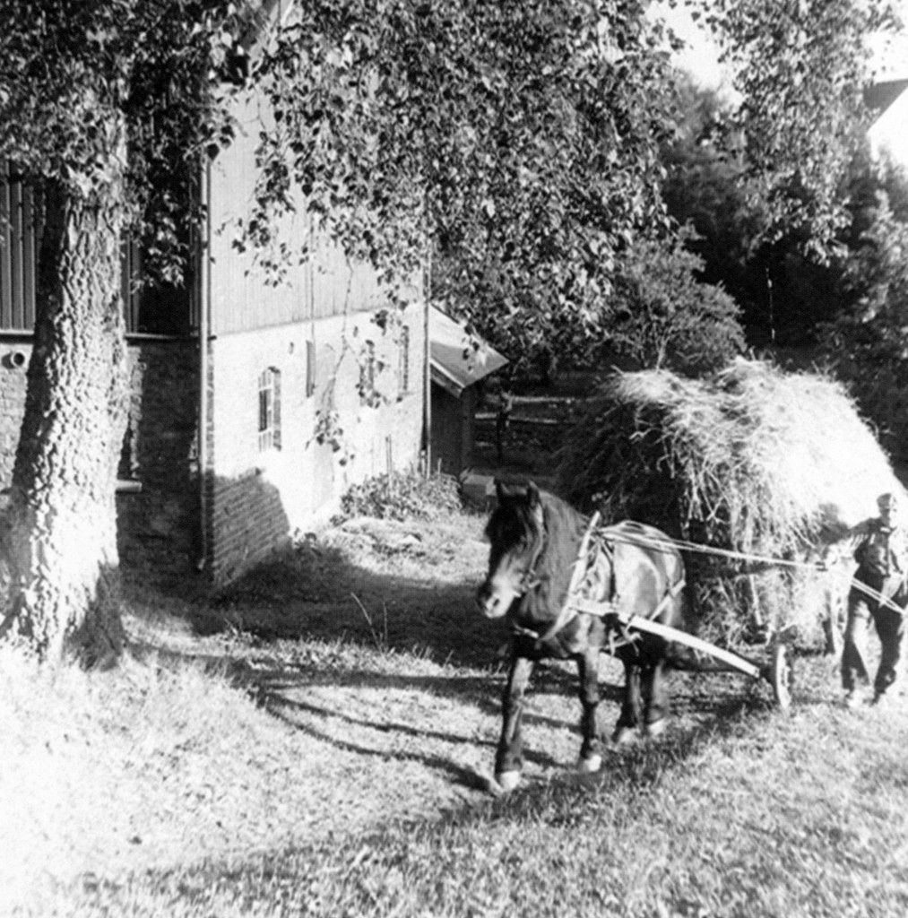 Fra jordet med høylass