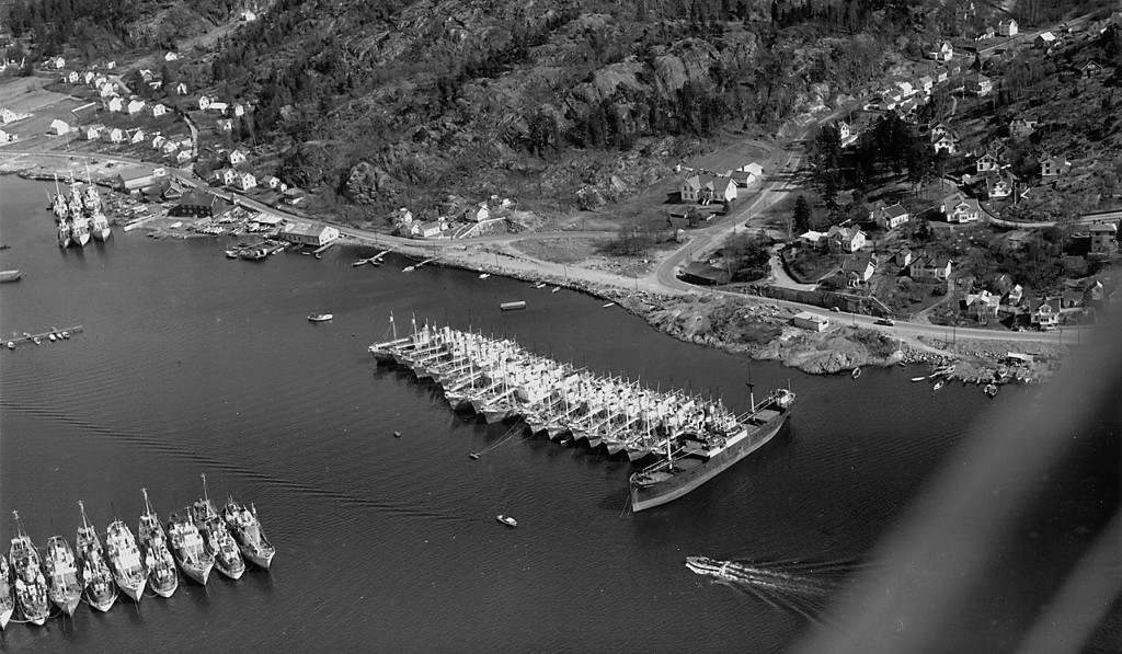 Vesterøyveien, Fjellvikbakken, Framnesveien