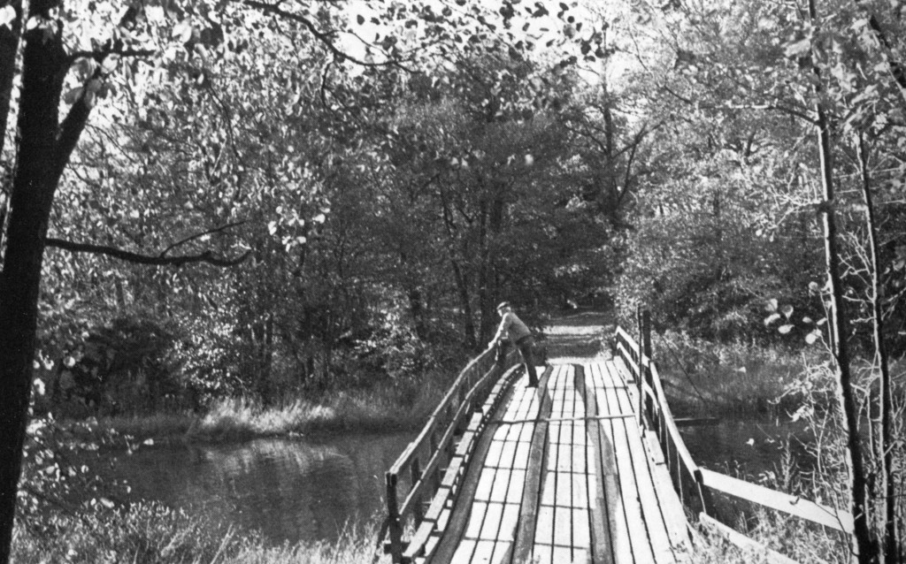 Broen som forbinder Storøya med Nærholmen