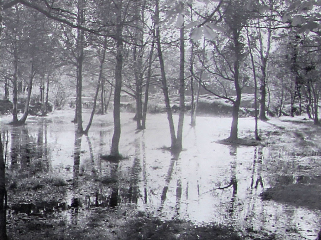 Havnevesenet pumper vann