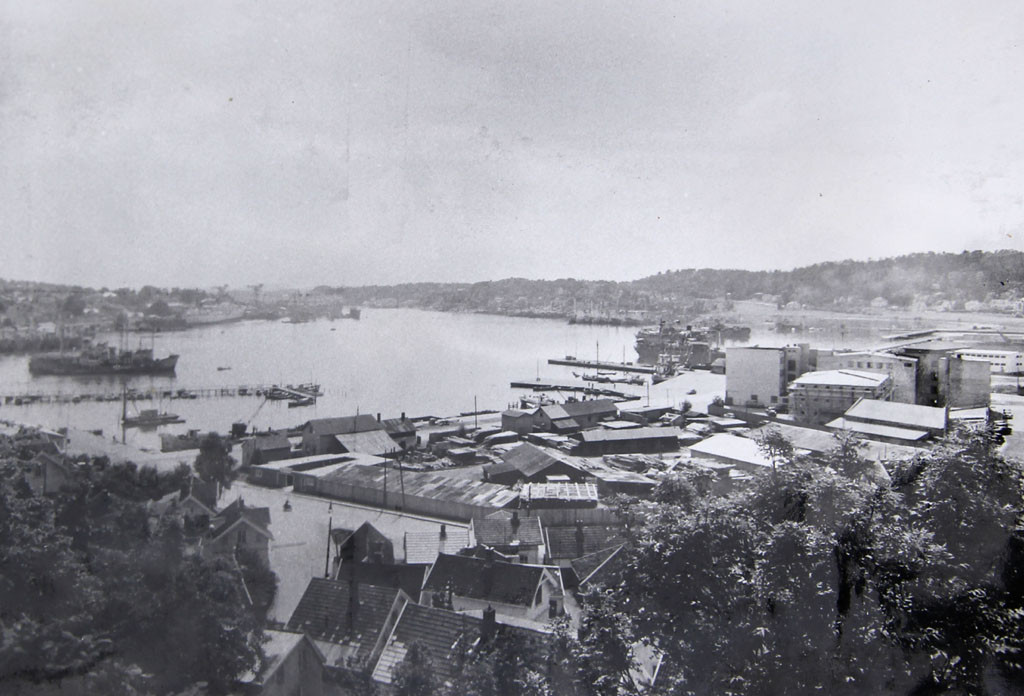Utsikt fra Korpås i 1950.