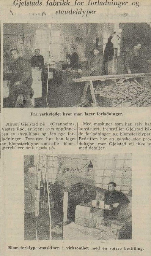 Framnesveien 37 / Anton Gjelstad