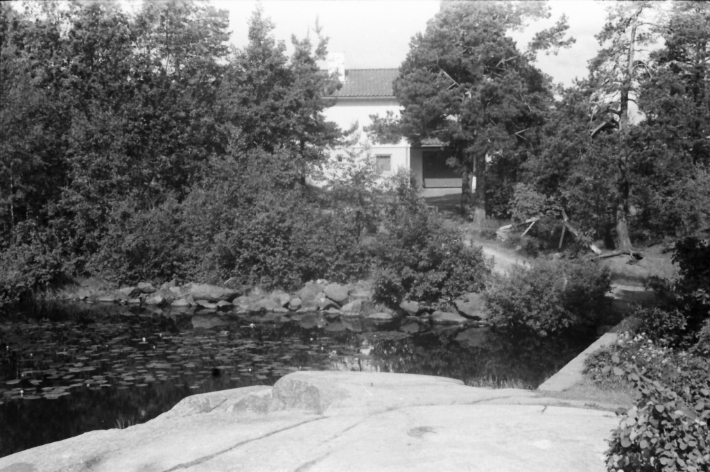 Gåsedammen / Hauanåsen 2