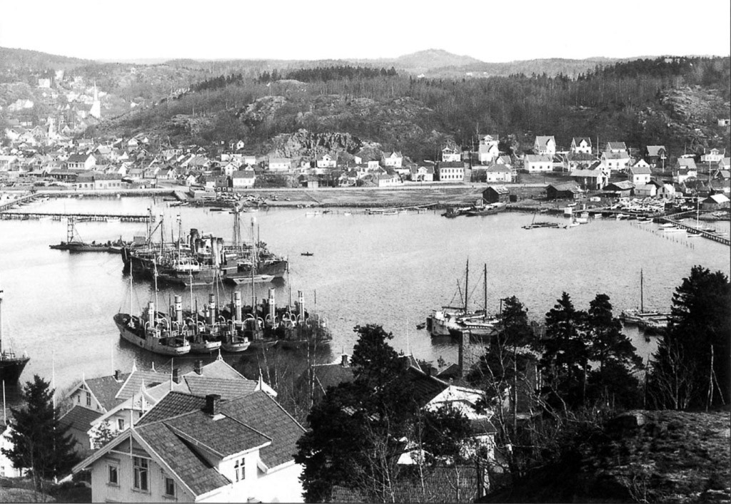 Kamfjordgata