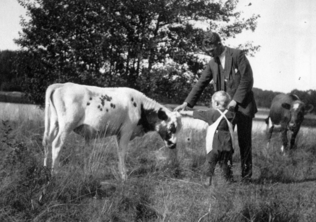 Nærholmen / Storøyaveien 81