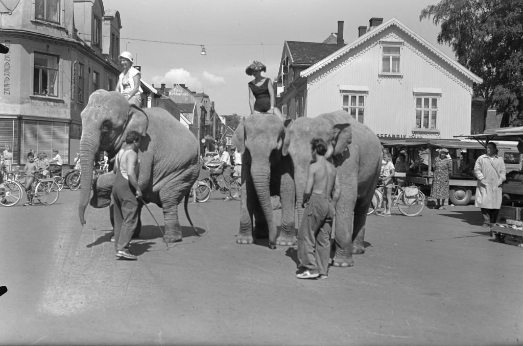 Stort besøk på Torget