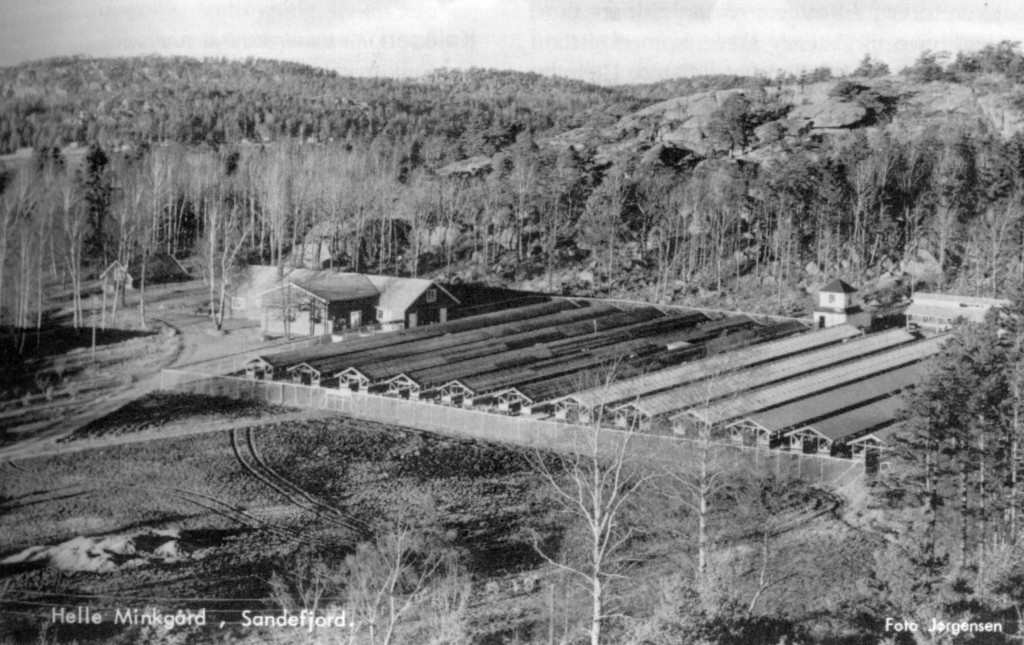 Gårdsbruk Helle