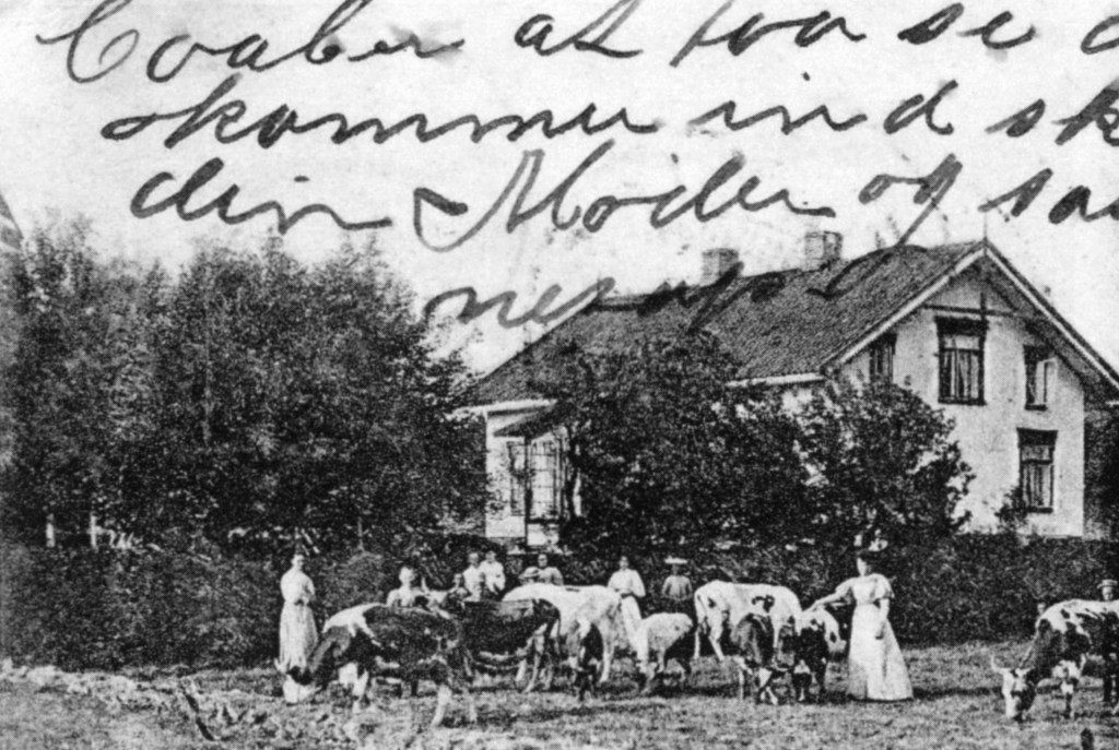 Sommerlyst på Sunde