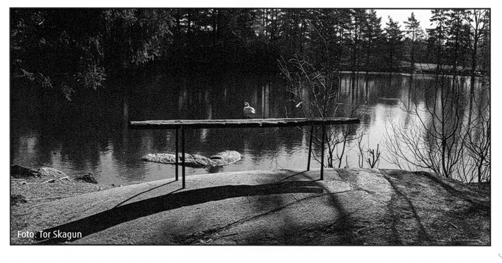 Benken ved Brydedammen