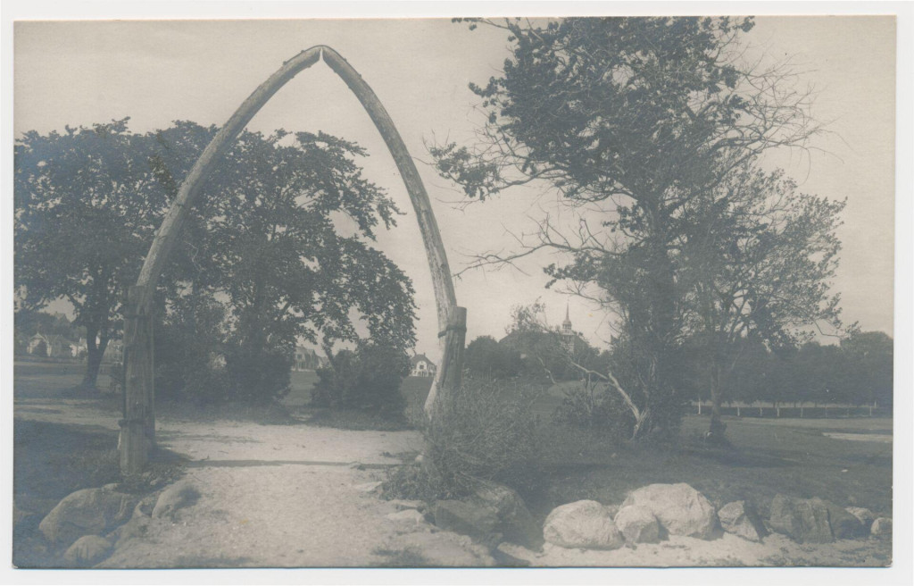 Hvalkjeften mot Badet