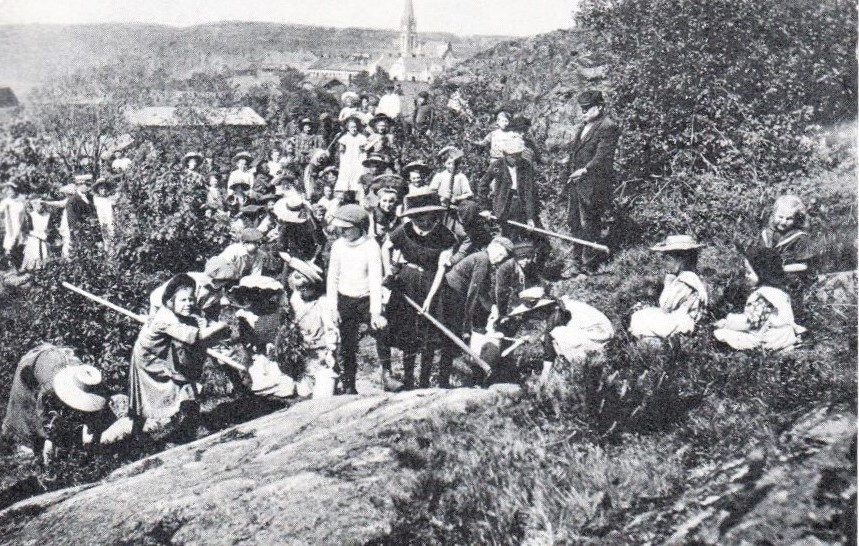 Skolebarn på treplanting i Preståsen omkring 1915