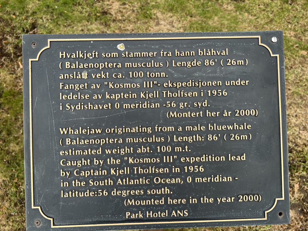 Plakett ved hvalkjeften