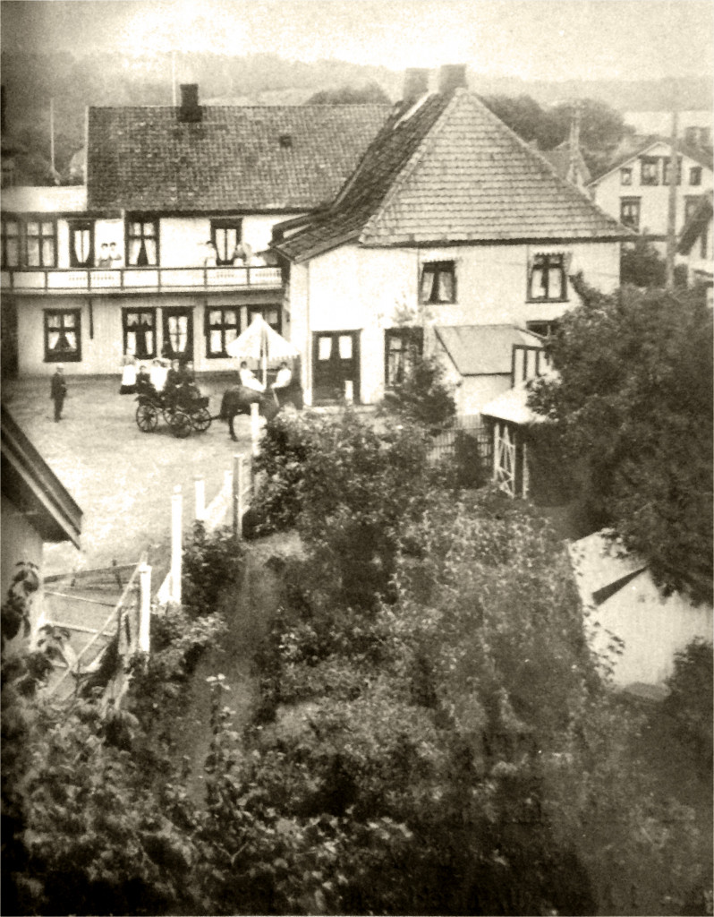 Hagen Hotek Kong Carl