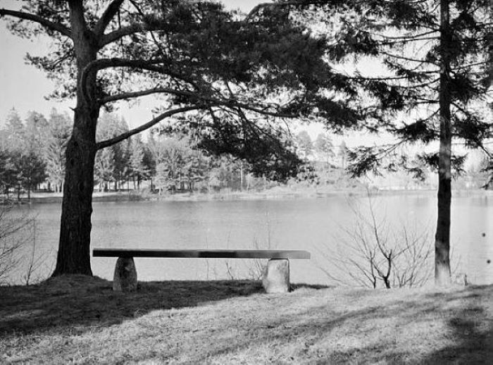 Bugårdsparken - dammen(e)