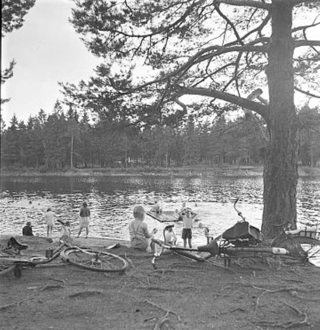 Bugårdsparken - dammen(e)