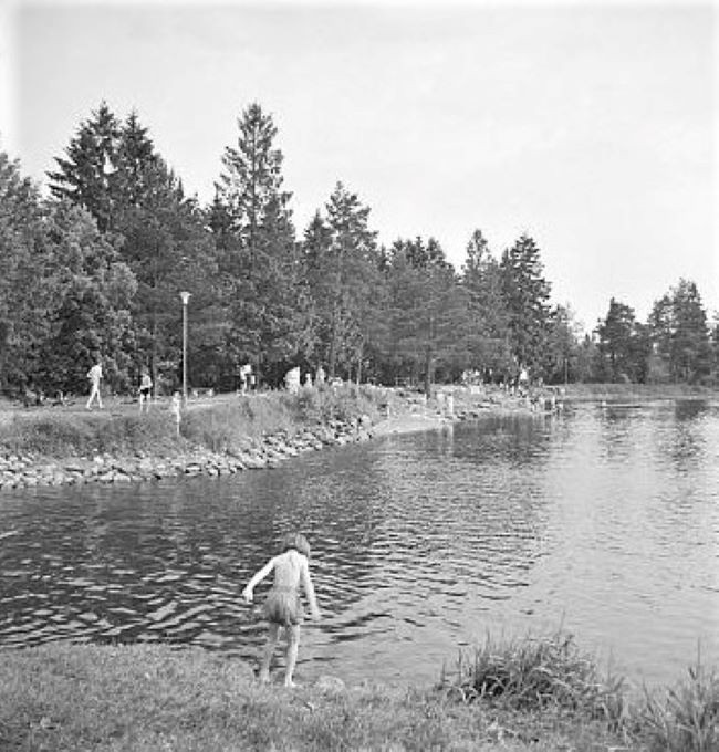 Bugårdsparken - dammen(e)