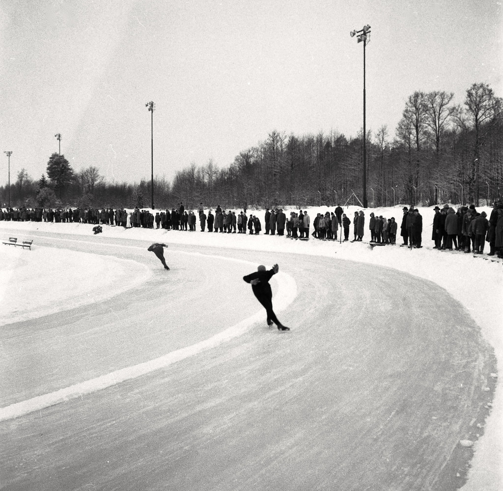 NM på skøyter i 1961