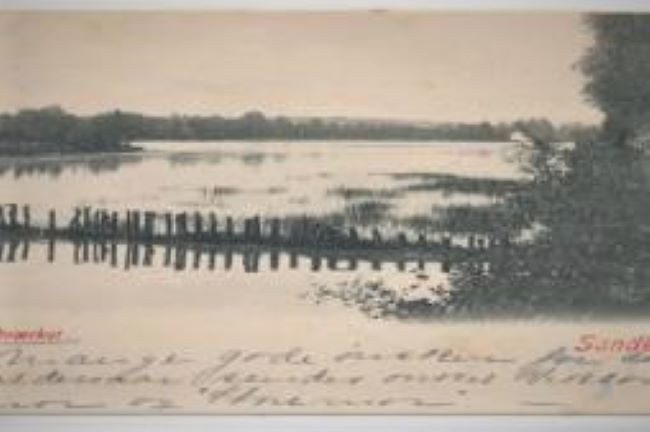 Bugårdsparken - dammen(e)