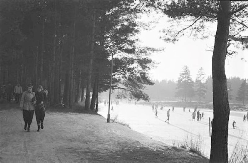 Bugårdsparken - dammen(e)