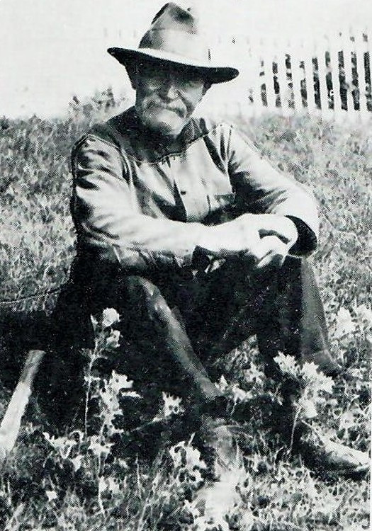 Tollere på Natholmen