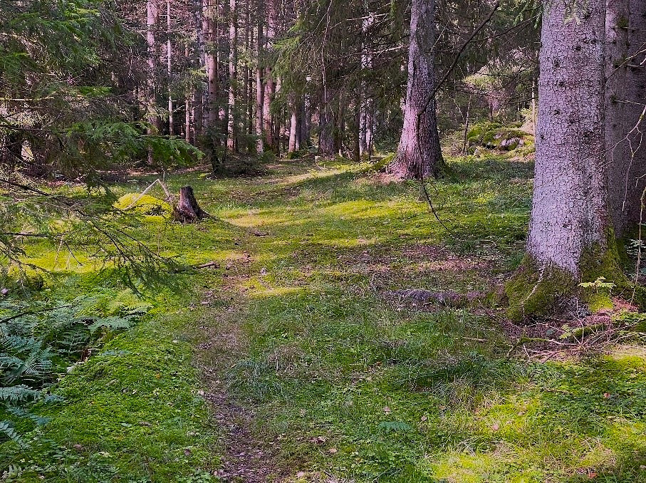 Turområder på York