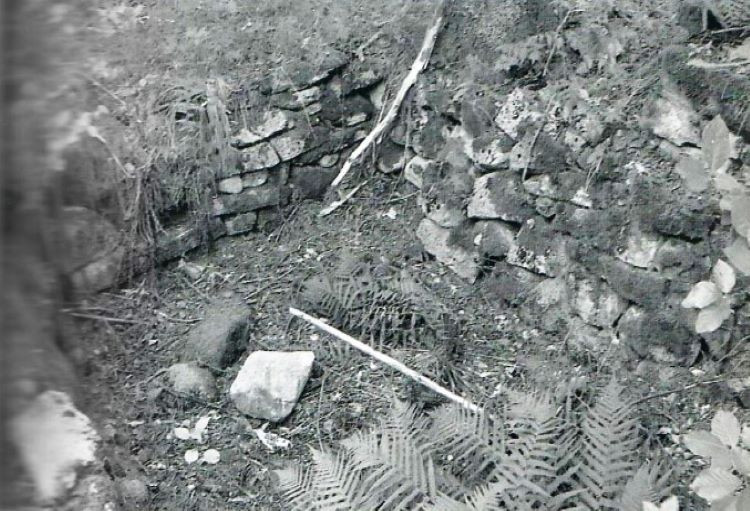 Husmannsplassen Olsestua