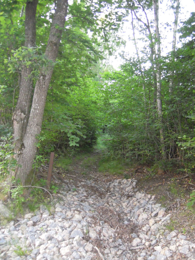 KODALVEIEN FØR BILENE.