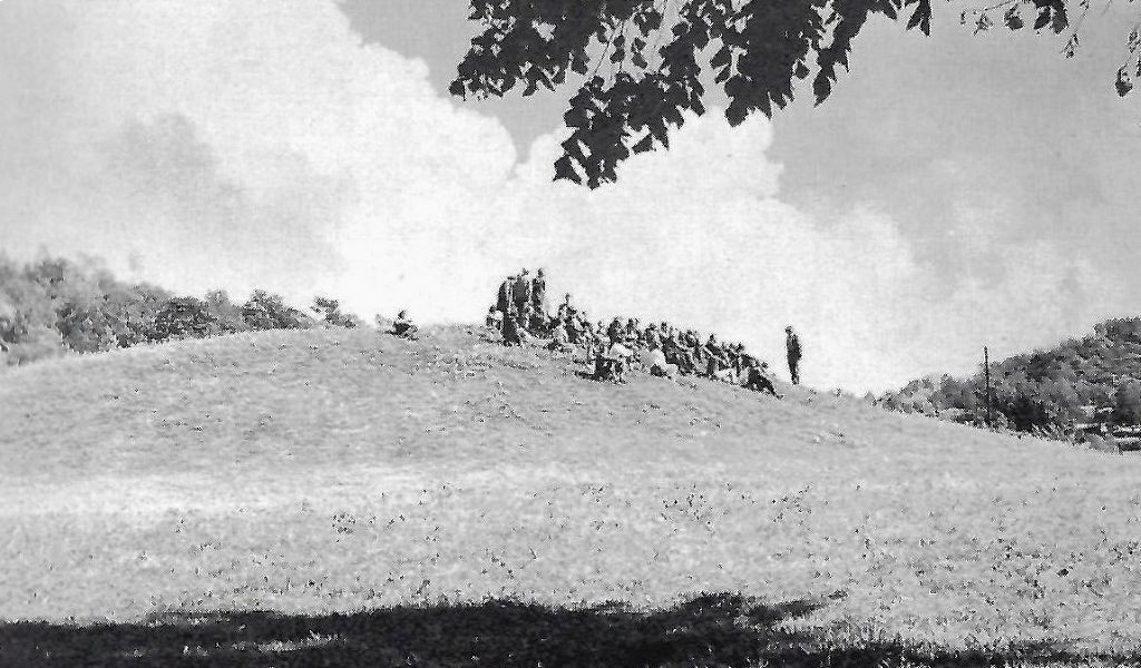 Gokstadhaugen - samling med informasjon