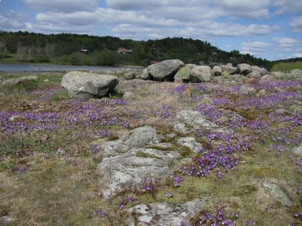 Skravestad - kulturminner