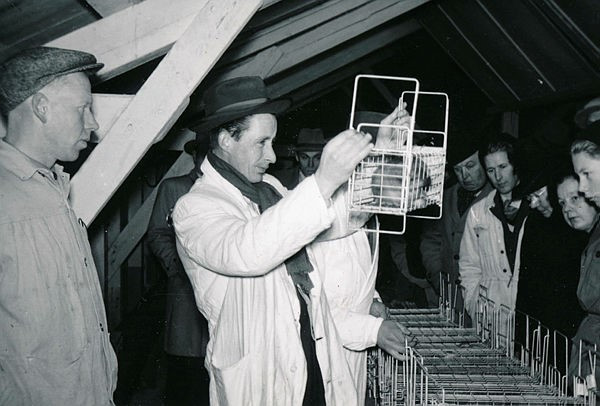 Hunsrød pelsdyrfarm