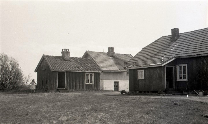 Hunsrød pelsdyrfarm