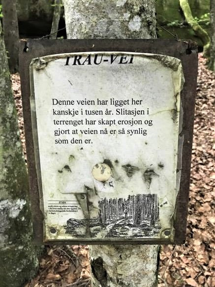 Fokserødskogen - hulvei/trauvei