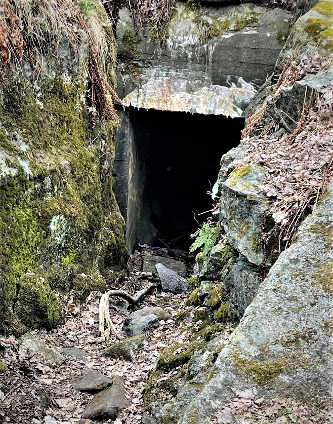 BUNKERE VED VIRIKDAMMEN