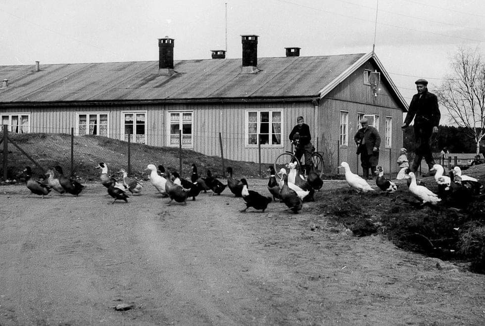 Tyskerbrakker i Bygården etter krigen