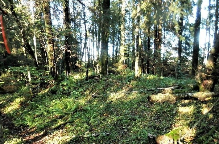 GRAVMINNER PÅ ØVRE SOLBERG