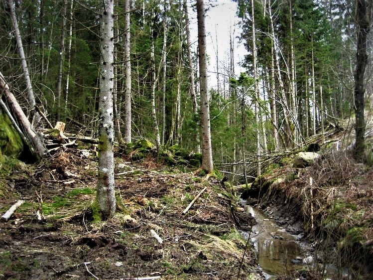 KULTURMINNER PÅ ØVRE SOLBERG