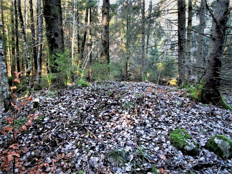 GRAVMINNER PÅ ØVRE SOLBERG