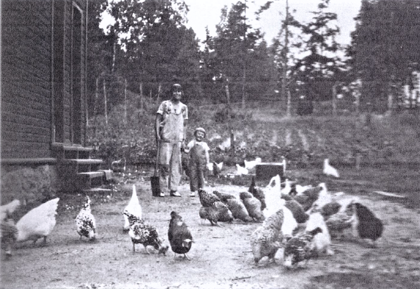 SKIPSREDER MOES VILLA