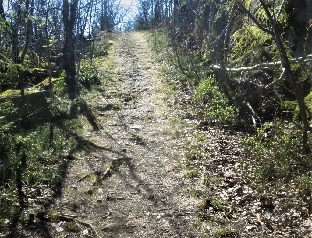 MOKOLLEN - MINNER FRA UNIONSFEIDEN