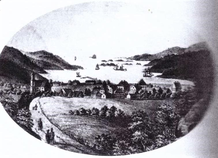 DØLEBAKKEN - SETT FRA NORD