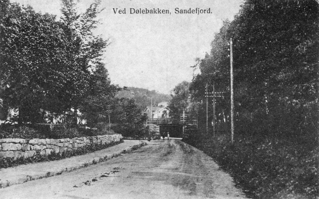 DØLEBAKKEN - SETT FRA SYD